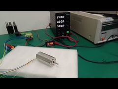 Высокая мощность 30 мм безслотный бесстылочный постоянный ток 105 Вт 0.52 Н.м 7536RPM 24В 48В