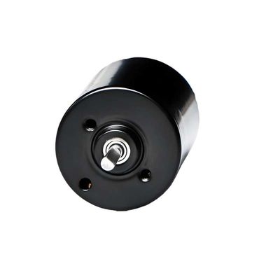 28мм PMDC бесбрюшевой мотор с интегрированным драйвером 5.1W 12V 24V высокопроизводительный BLDC мотор для электрического окна