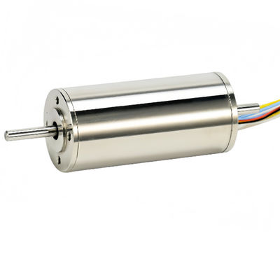 28мм безчестивый мотор 202W 27605RPM 70mN.m 24V 48V