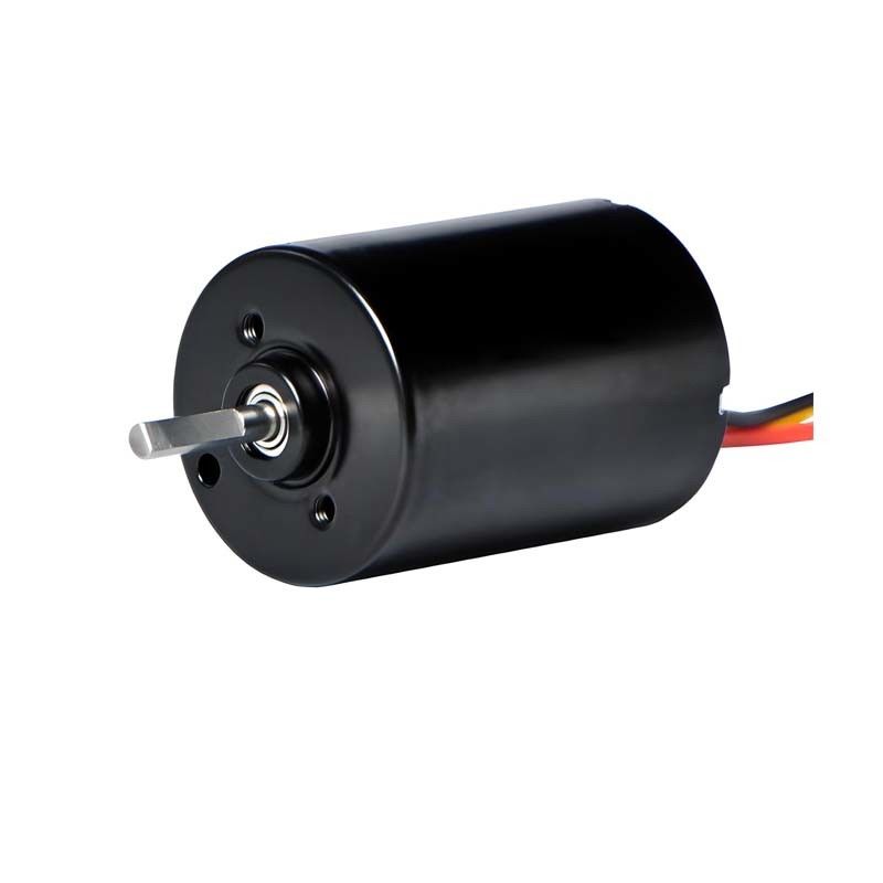 28мм PMDC бесбрюшевой мотор с интегрированным драйвером 5.1W 12V 24V высокопроизводительный BLDC мотор для электрического окна